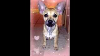 I love her, she loves me...