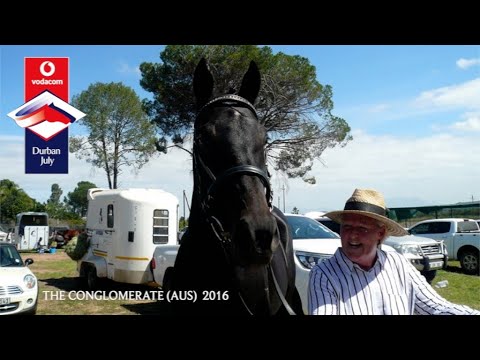 2016 VODACOM DURBAN JULY WINNER: THE CONGLOMERATE