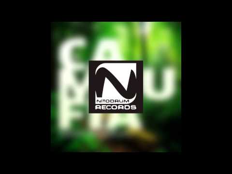Camoufia - Beautiful Mind (Original Mix) [NITODRUM RECORDS]