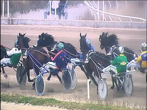 Trotto 14/01/2020 - 2ª corsa