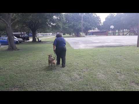 Kammy at Jester Park 6th day of training.