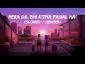 Mera Dil Bhi Kitna Pagal Hai | [Slowed+Reverb] | Atif :Aslam | Tushh Vibes | Lyrics World.