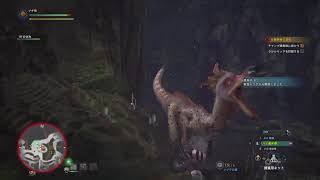 ブギ男のMHWガンナーでいこう　＃2