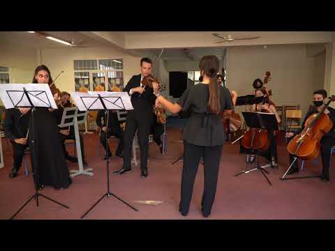Vivaldi Concerto for two violins in A minor RV522 1st Movement