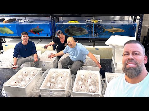 UNBOXING LIVE FISH FROM ASIA - Part 2