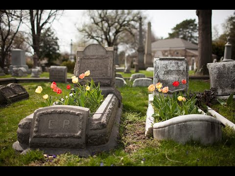 YouTube video about: How to plant grass on a gravesite?