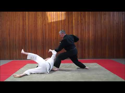 Ju-Jutsu Master-Serie 104 – Beingreifer-Techniken (Überblick) – Kumi-ashi compilation