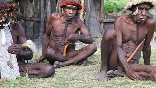 Papua - a cultural and botanical expedition in New Guinea