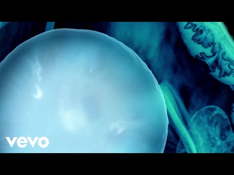 Gabríel Ólafs - The Lily