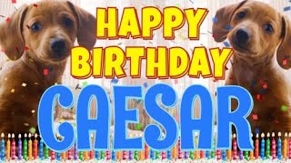 Happy Birthday Caesar! ( Funny Talking Dogs ) What Is Free On My Birthday