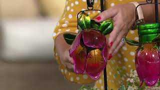 Paradise Set of 2 Lotus Flower Solar Stake Lights on QVC