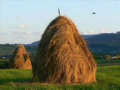 Florin Pal _  Si vremea a trecut si am fost copil