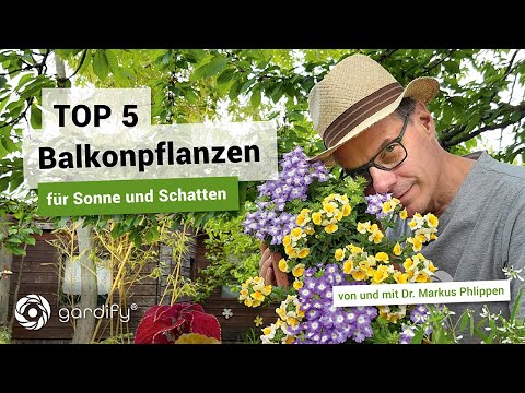 , title : 'TOP 5 Balkonpflanzen für jeden Standort, pflegeleicht und farbenfroh | gardify Tipps'