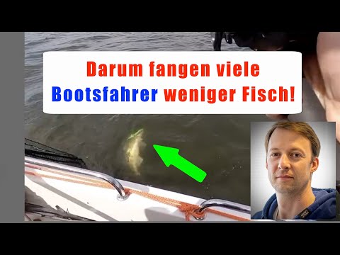 ► Dieser Fehler kostet Bootsangler Fisch 🐟 Und fast JEDER hat ihn schon gemacht ★★★★★ (2023 Update)