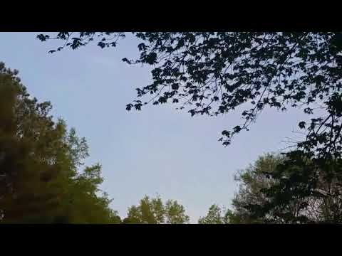 Unknown Apocalyptic Trumpet Noises Heard In The Sky 2017 - The Hum Phenomenon