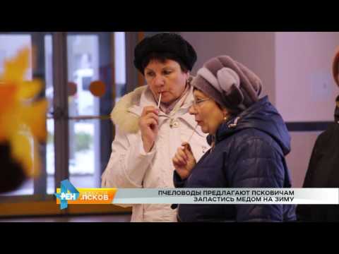 Новости Псков 15.11.2016 # Пчеловоды предлагают псковичам запастись медом на зиму