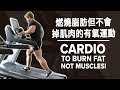 燃燒脂肪但不會掉肌肉的有氧運動 | CARDIO to Burn Fat, Not Muscles | Terrence Teo