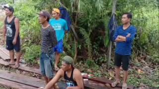 Download lagu Laoneis band ayo kerjo cover video mp3