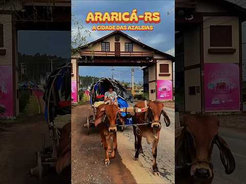 ARARICÁ-RS a Cidade das Azaleias #ararica #azaleias #turismors #viagem #shorts #festadasazaleias