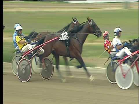 Trotto 17/06/2017 - 7ª corsa