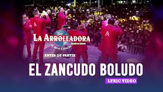 Zancudo Boludo Lyrics English Translation
