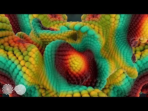 Starlab (IN) & Suduaya - Beginning of Time