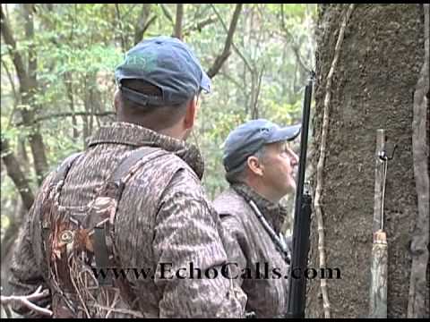Taming The Rooster -  Echo Boy Style - Green Timber Duck Hunting