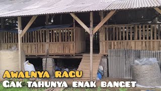 Download lagu I intended to try raising a few goats, but it ended up being a huge success. | Repost mp3 Download lagu I intended to try raising a few goats, but it ended up being a huge success. | Repost mp3