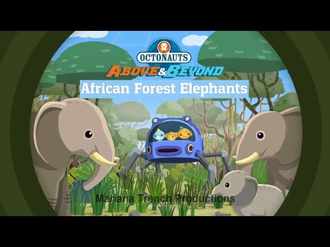 Octonauts: The African Forest Elephants ENGLISH Full Episode ~ A&B SEASON 5 ~ New UK Dub DESCRIPTION