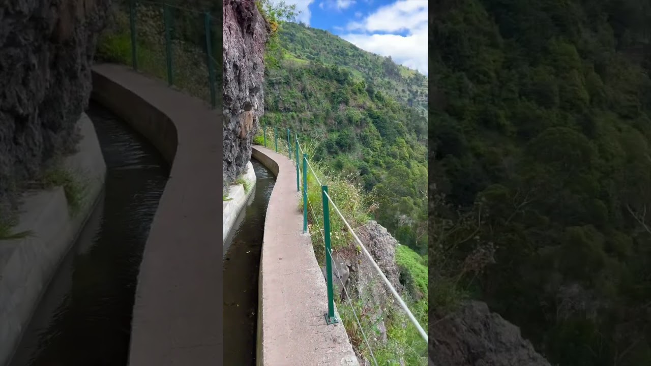 YouTube Short thumbnail