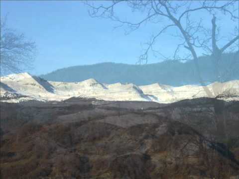 Никола Бадев - Подранила Цена