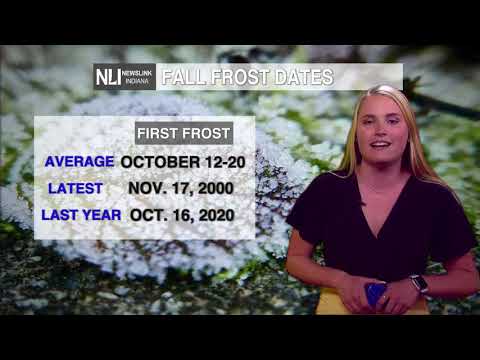 NewsLink Indiana Weather October 26, 2021 - Hope Kleitsch