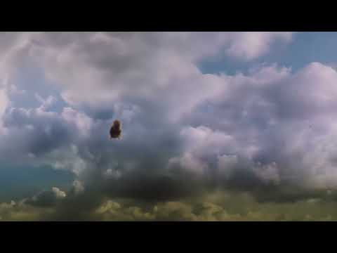 Video thumbnail for Fell from Grace With the Sea