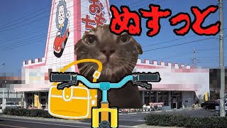 【猫ミーム】天下の王泥棒！！占い師！！【後篇】