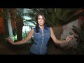 Nataly hay Belly Dance 