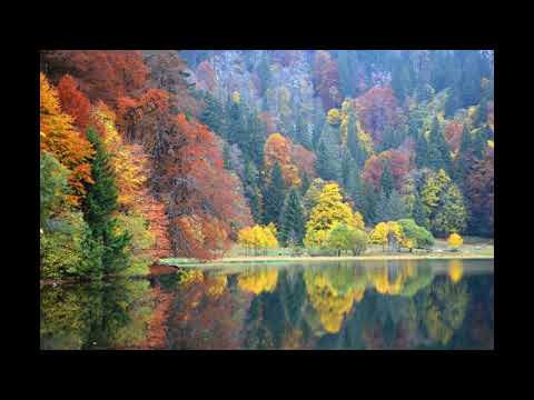 Youtube Video uO_ifzx4Jwk
