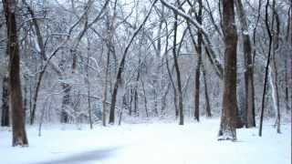 Snow Day Music Video