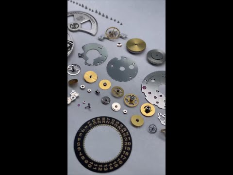 Panerai Watch Maintaining vlog.