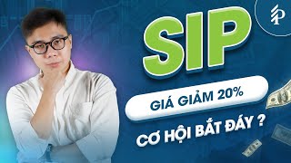 SIP: Có nên bắt đáy cổ phiếu khi giá giảm hơn 20% từ đầu năm? Cập nhật KQKD Quý 3/2025