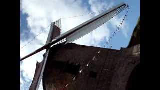 preview picture of video 'molen in Zeddam'