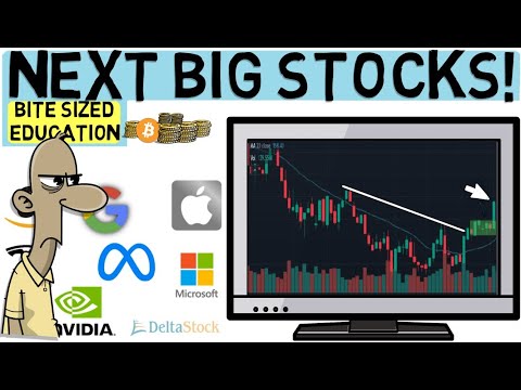 How to Find Leading Stocks Before They Take Off (The Next Tesla/NVIDIA)