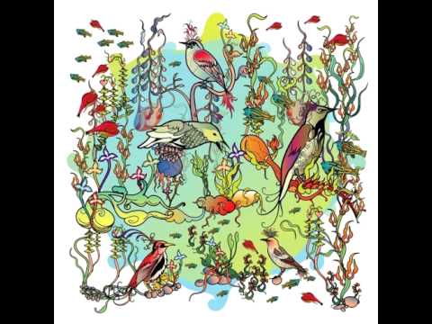 John Zorn - Little Bittern