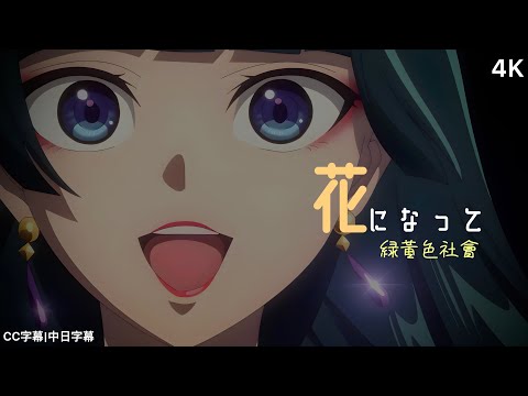 【藥師少女的獨語】藥師少女的獨語 主題曲OP 「花になって」緑黃色社會|完整版|CC字幕|中日字幕 【4K】