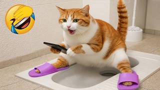 🤣 100%笑える！最高におもしろい猫動画！🐈😹パート 23