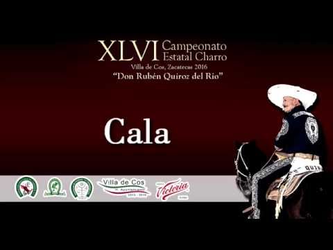 Cala de Caballo 45 Puntos