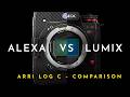 The Arri Alexa For Your Pocket Lumix S1II With LOG C3 VS Arri Alexa A Shootout