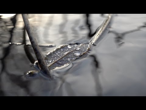 PIISAD / Marek Sadam ja Rael Laikre