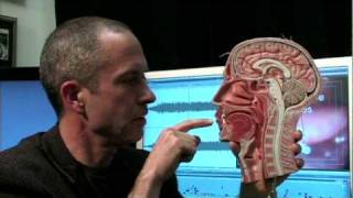 Tips #1: Chip Endoscope