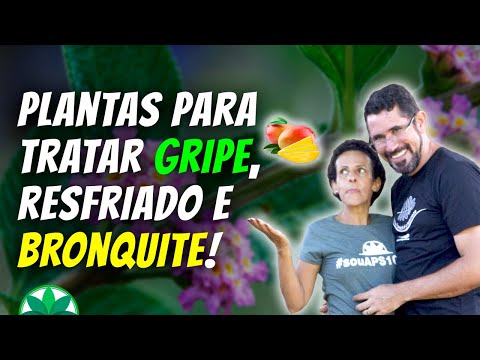 Plantas para tratar gripe, resfriado e bronquite!