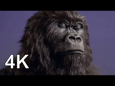 Cadbury's Gorilla Advert AI Upscaled 4K